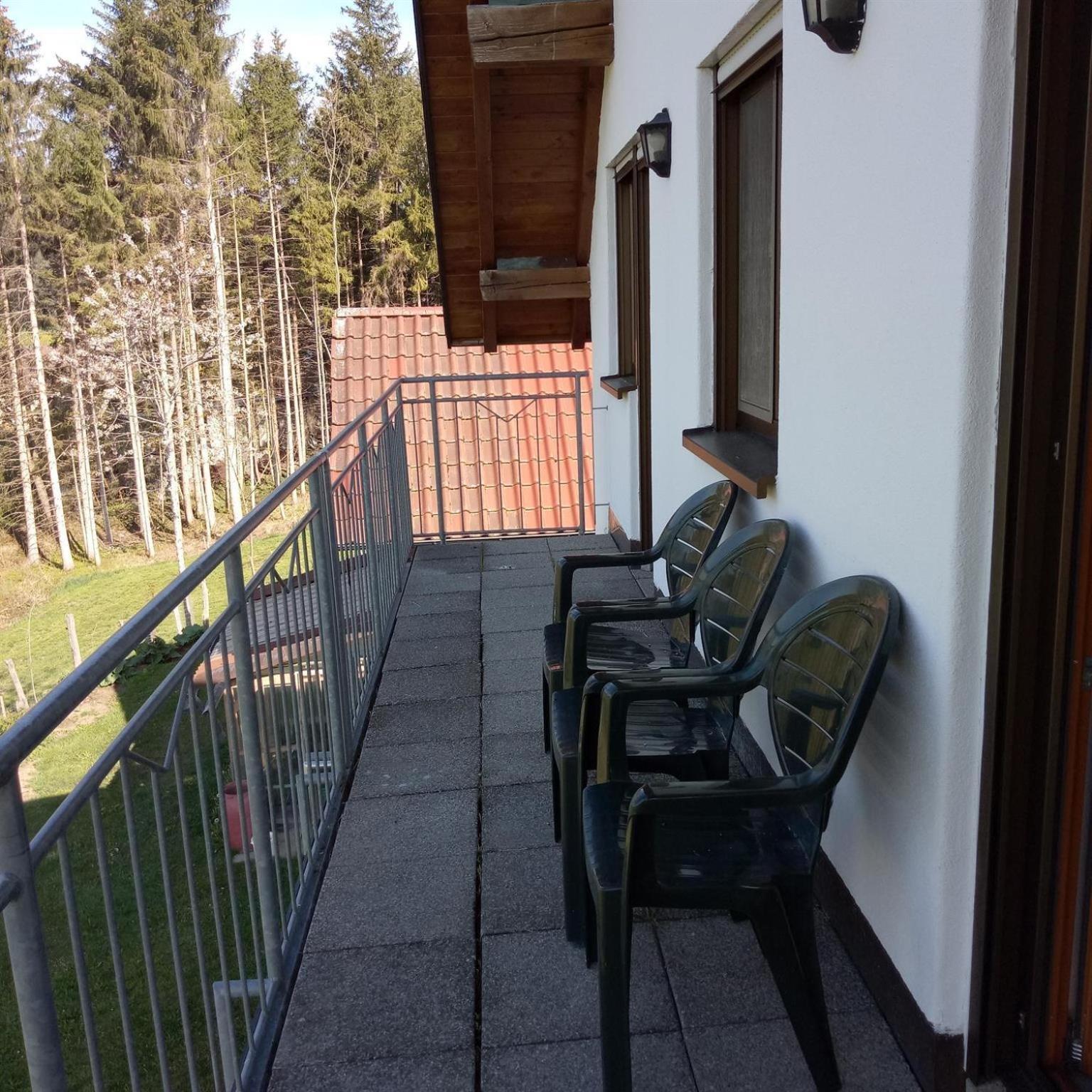 Gasthof Gruener Baum "Kongo" Amtzell Cameră foto
