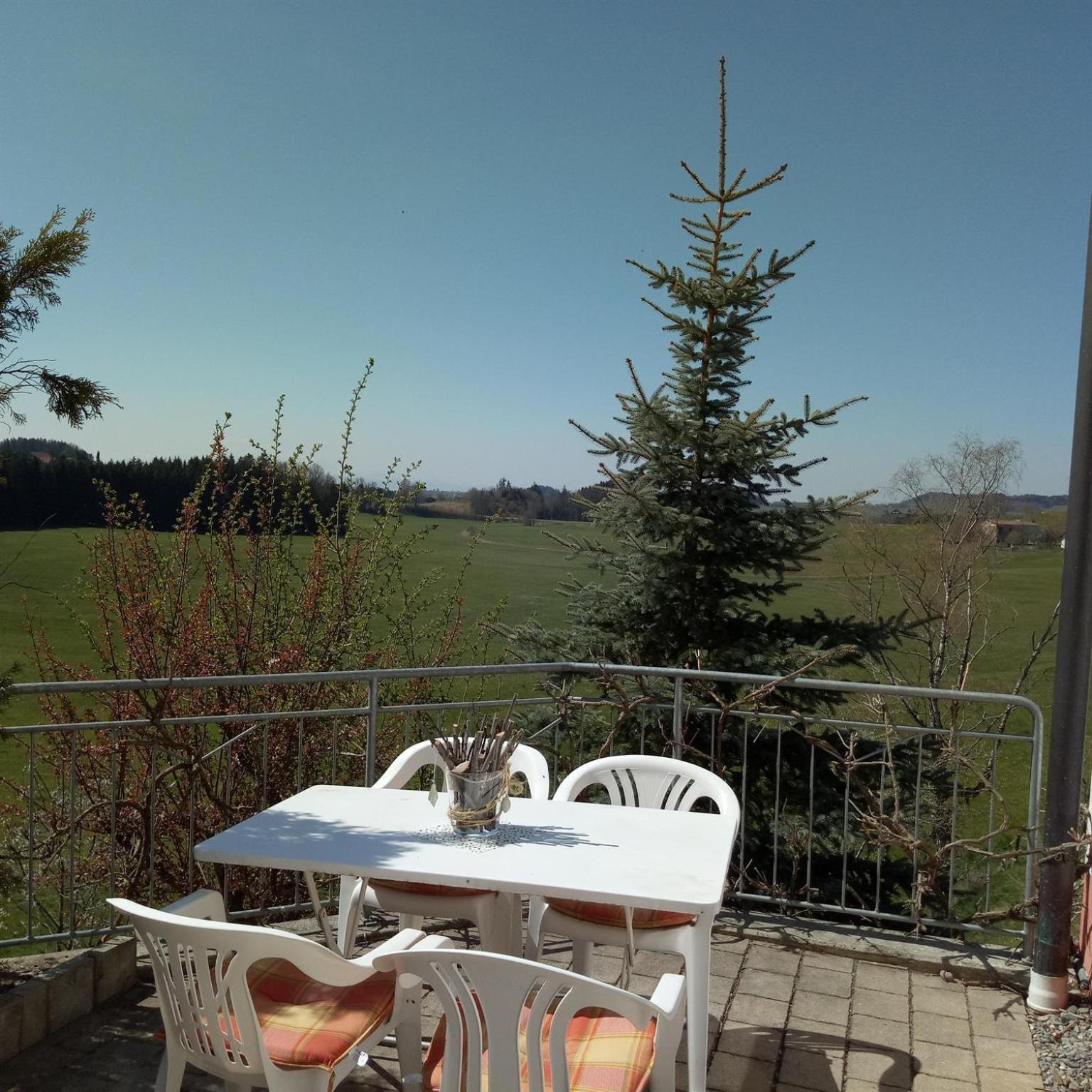 Gasthof Gruener Baum "Kongo" Amtzell Cameră foto